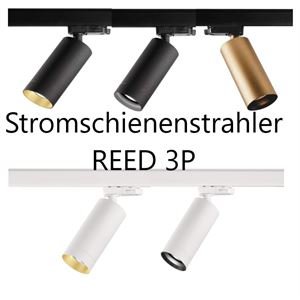 DLS 3~REED Strahler 3-Phasen-Univ.adapter Fassung GU10