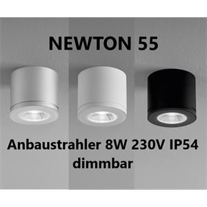 DLS Aufbaustrahler NEWTON 55 LED 8W 3000K 30°230V IP55